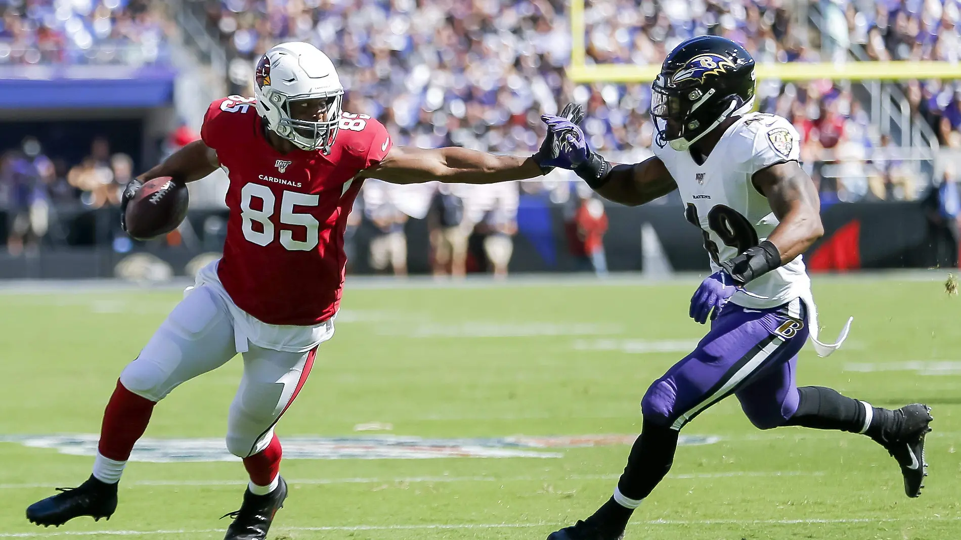 Cardinals de Arizona